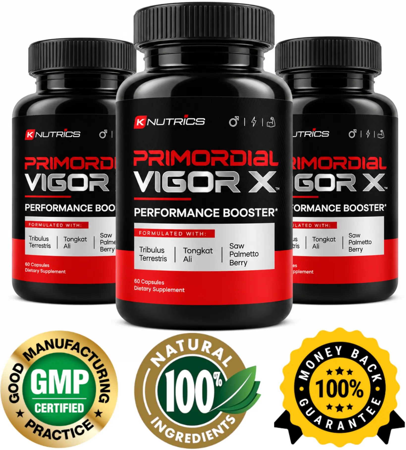 Primordial Vigor X Primordial Vigor X official